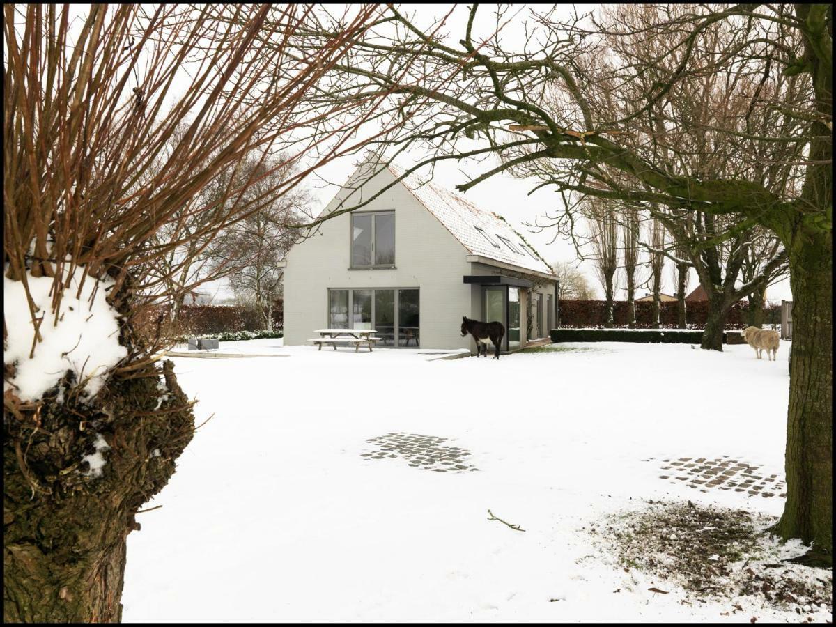 Bed and Breakfast Rooseboom22 à Aartrijke Extérieur photo