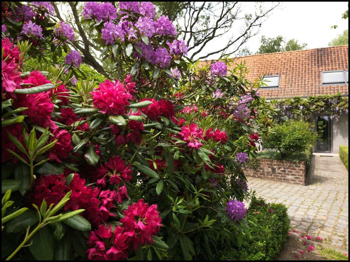 Bed and Breakfast Rooseboom22 à Aartrijke Extérieur photo