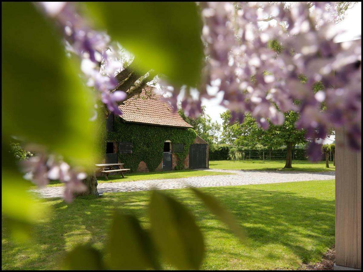 Bed and Breakfast Rooseboom22 à Aartrijke Extérieur photo